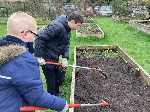 Two male students are pictured using garden rakes to move the soil in a plant bed, outdoors on the academy grounds.